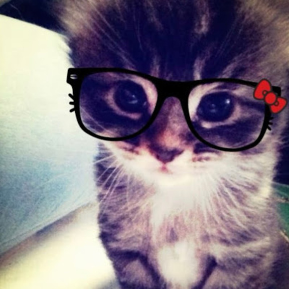 Meet your Posher, Tanya - Picture 1 of 1